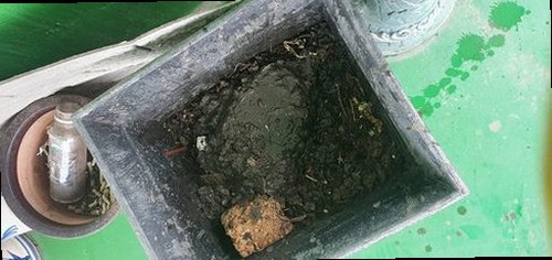 성동구 성수동2가 하수구막힘 싱크대 꾸르륵 소리 직접 확인해보니 원인이 보였다