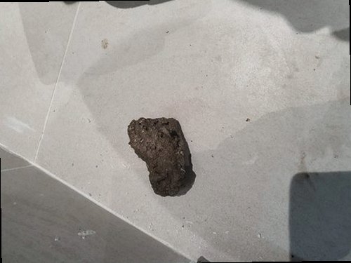 성동구 금호동1가 하수구막힘 세면대 배수 상태와 주변 이물질을 확인하는 현장 점검